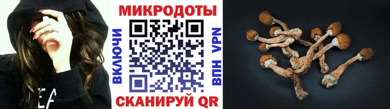 Псилоцибиновые грибы мухоморы  где купить наркоту  Георгиевск 
