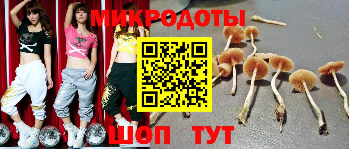Георгиевск  где купить наркотик  Вход с VPN  Галлюциногенные грибы GOLDEN TEACHER 